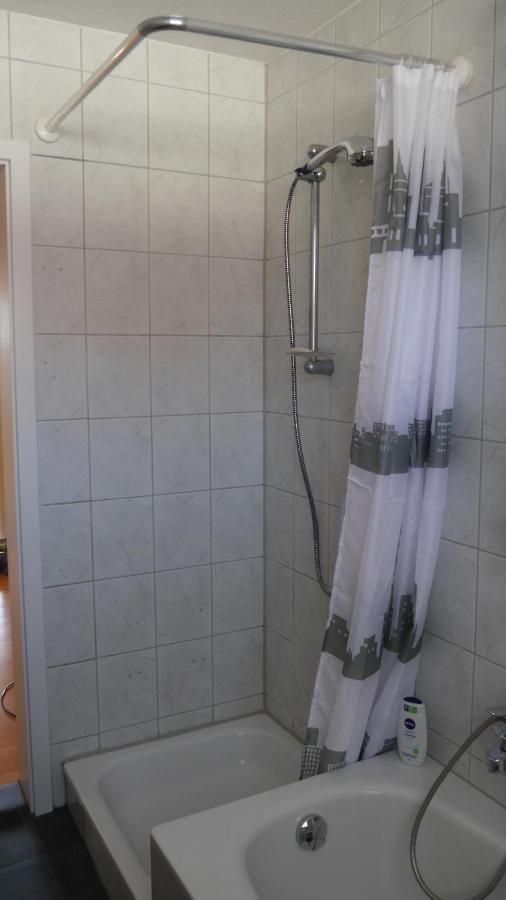 Grosszugige Wohnung Mit Herkulesblick Nahe Uni Кассель Екстер'єр фото